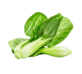 Chinese Cabbage