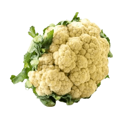 Cauliflower