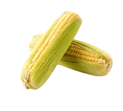Corn