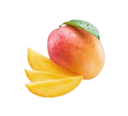 Surjapur Mango